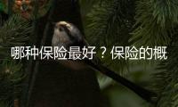 哪种保险最好？保险的概念