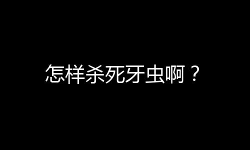 怎样杀死牙虫啊？