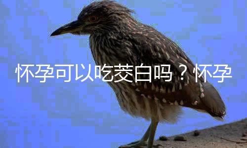 怀孕可以吃茭白吗？怀孕吃什么比较好