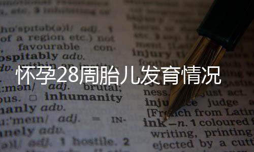 怀孕28周胎儿发育情况