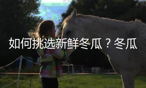 如何挑选新鲜冬瓜？冬瓜的挑选方法