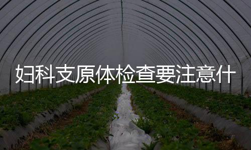 妇科支原体检查要注意什么