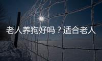 老人养狗好吗？适合老人养的类型