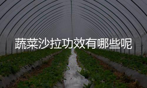 蔬菜沙拉功效有哪些呢