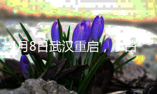 4月8日武汉重启，小白熊母婴抗疫援助进行时